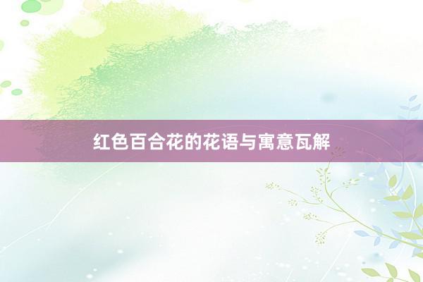 红色百合花的花语与寓意瓦解